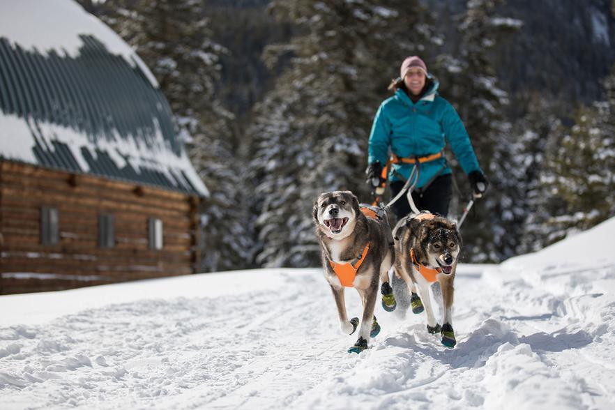 Ruffwear Omnijore Joring System Ruffwear Omnijore Joring System