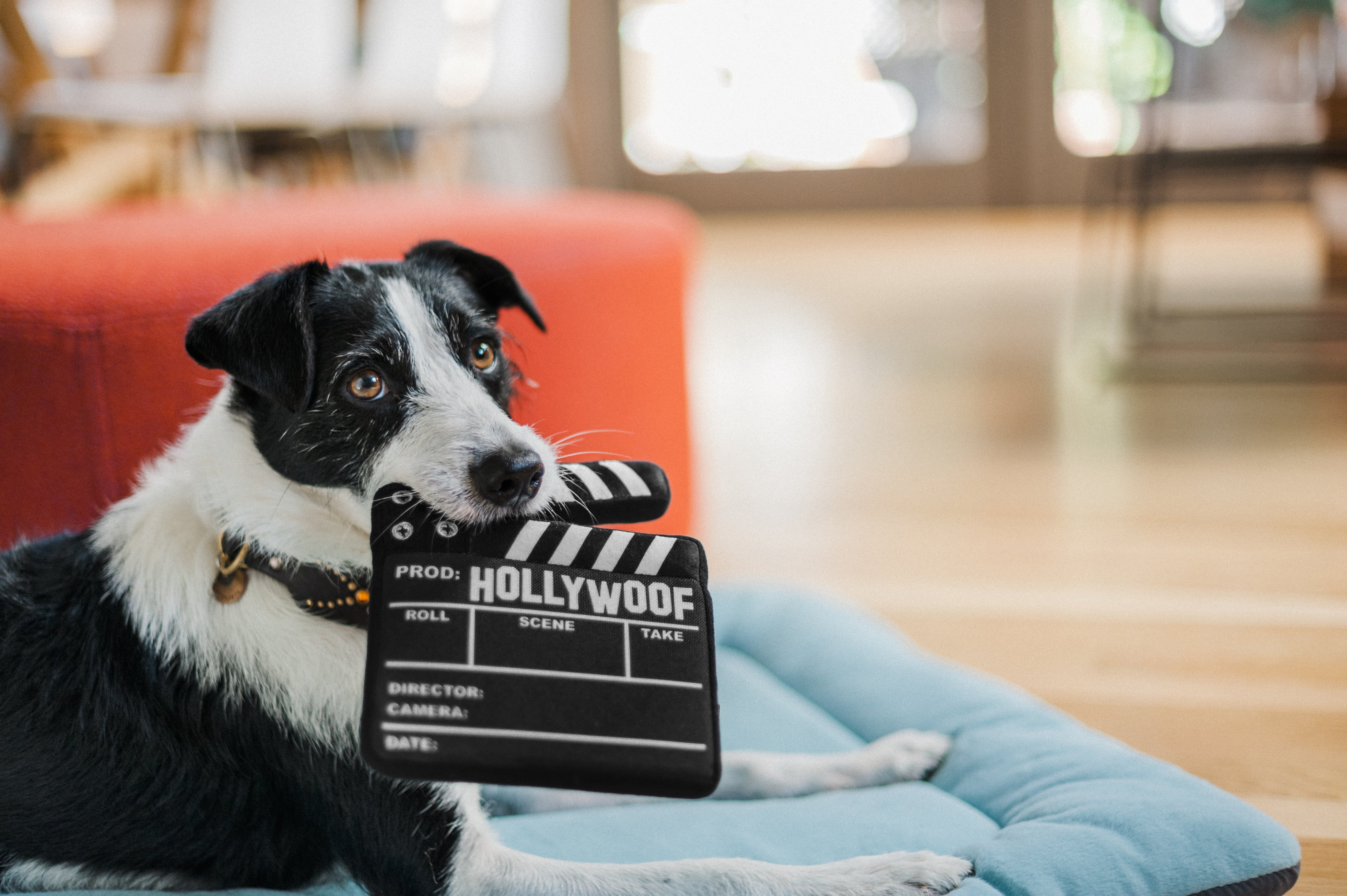 P.L.A.Y. Hollywoof Cinema Collection
