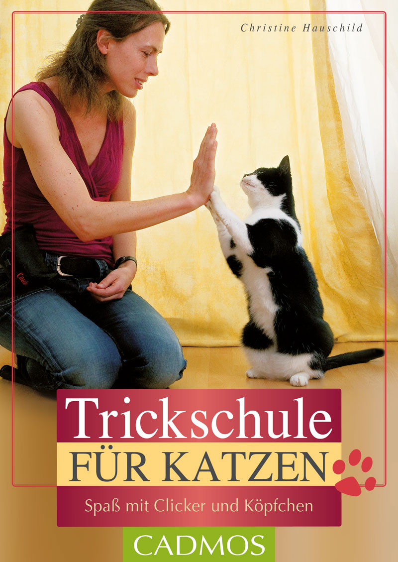 Cadmos - Trickschule für Katzen [Hauschild]