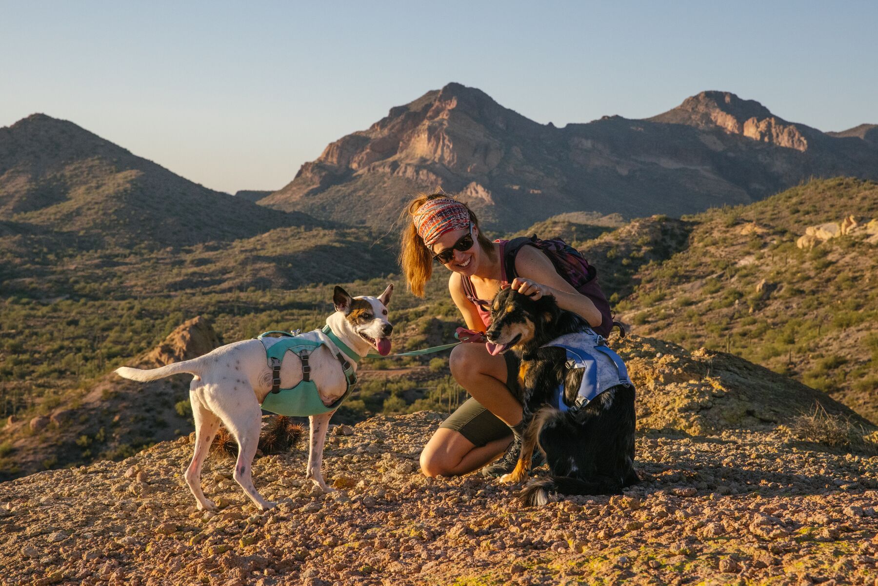 RuffWear Swamp Cooler™ Harness Sage Green