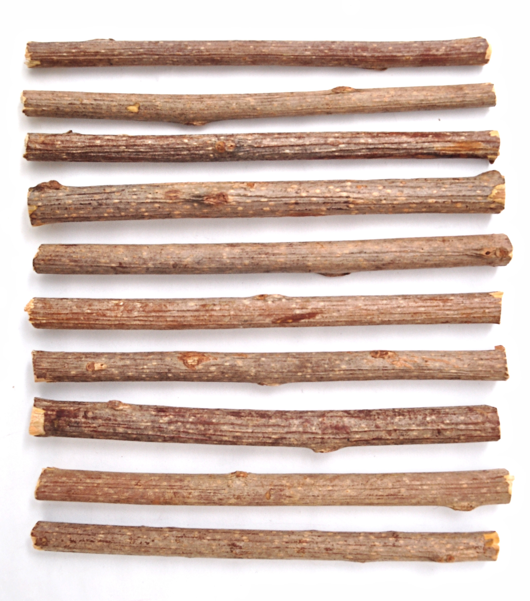 Aumüller Dentalspielzeug für Katzen Sticks 10er Set