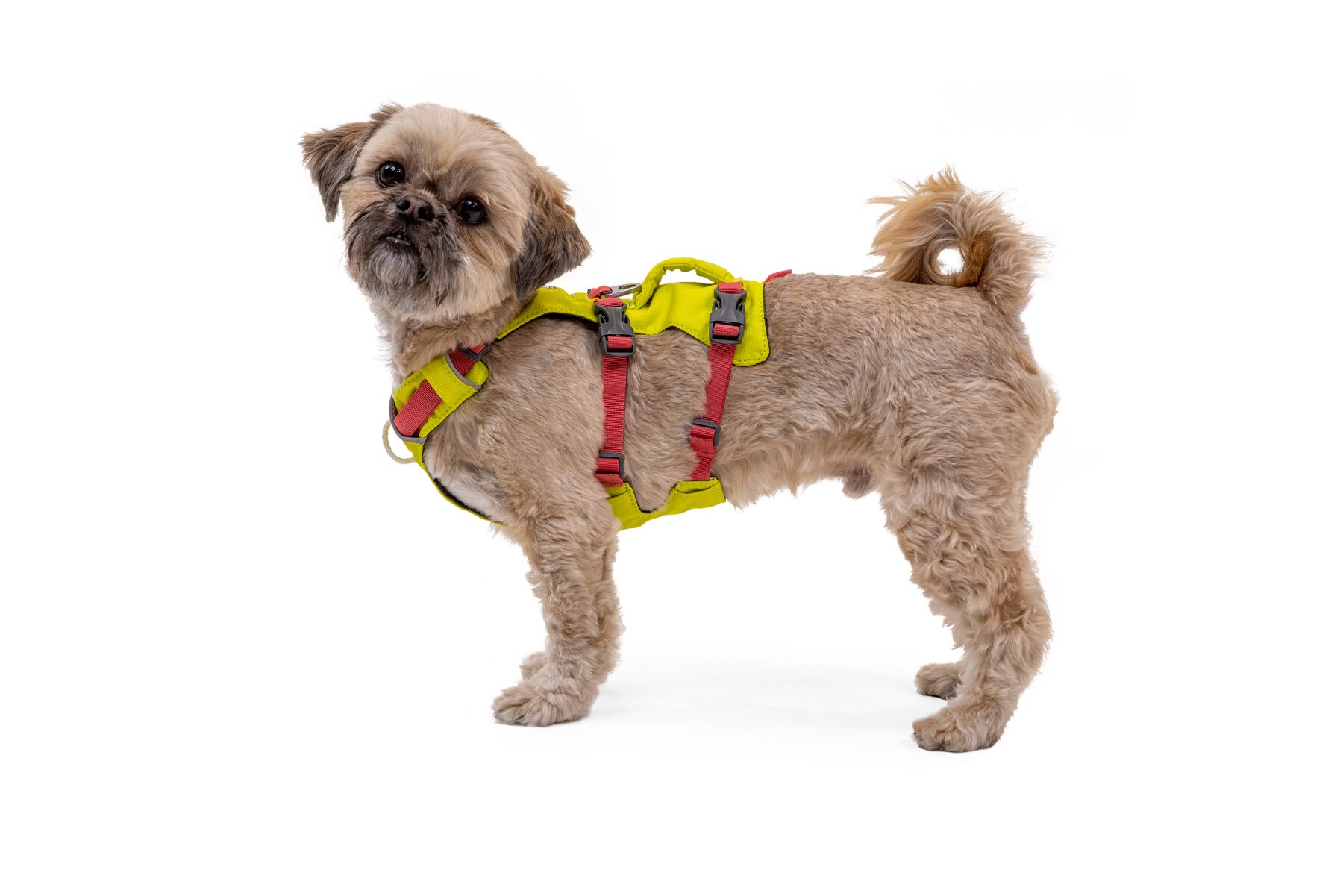 RuffWear Flagline™ Harness Lichen Green