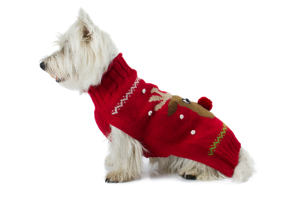 Alqo Wasi Hunde-Pullover Red Rudolph