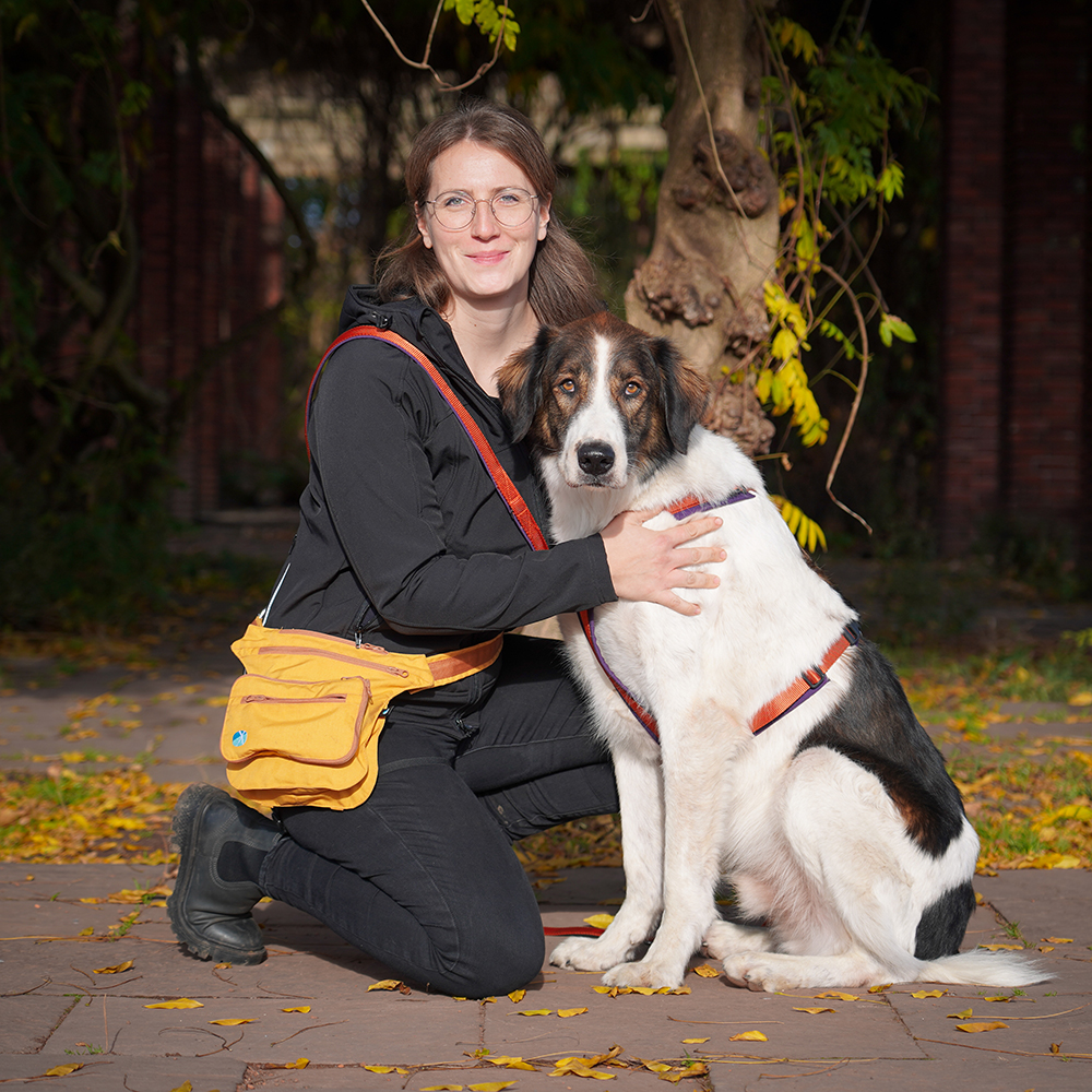 annyx Führleine Bolt Fun Pflaume (Limited Edition)