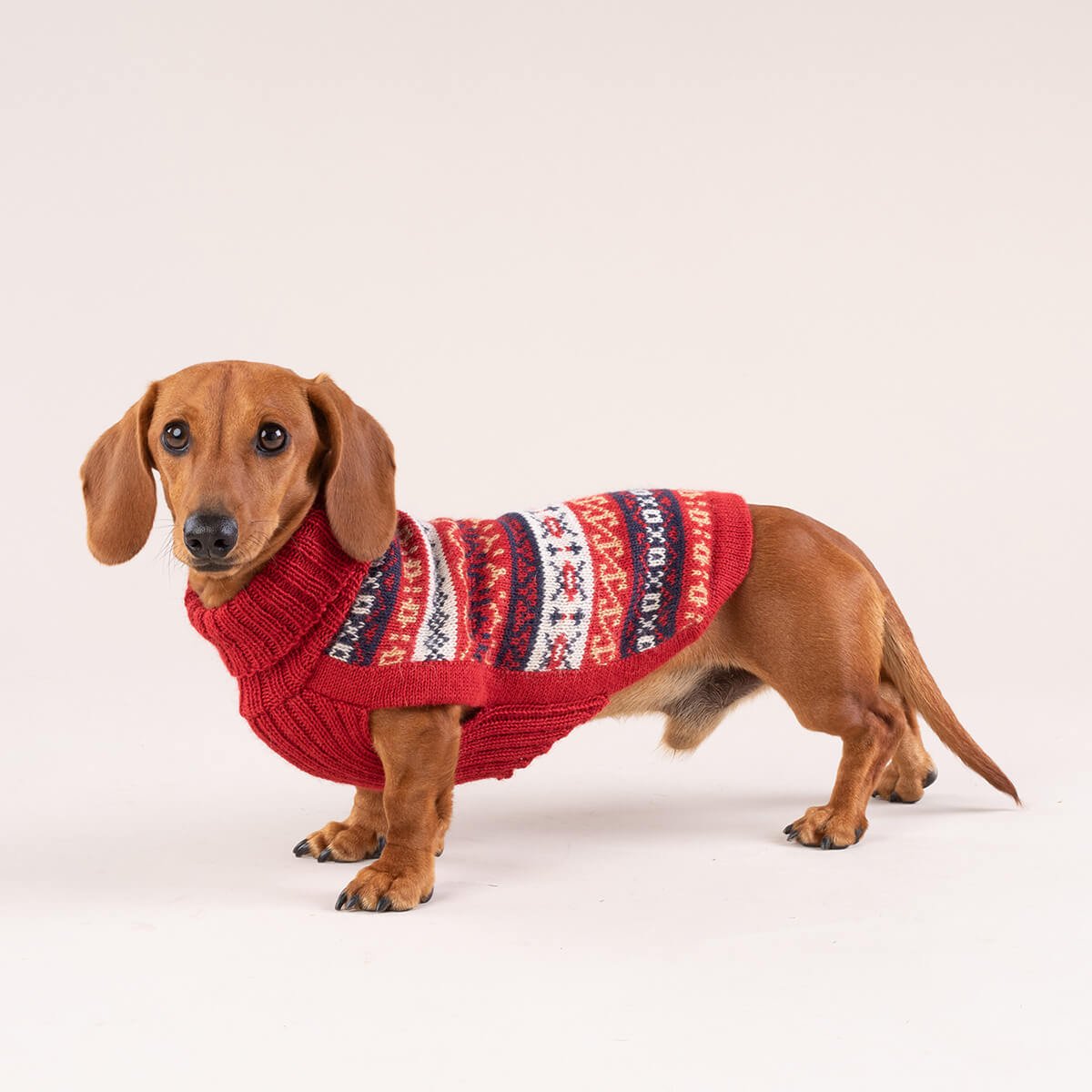 Alqo Wasi Hunde-Pullover Heritage