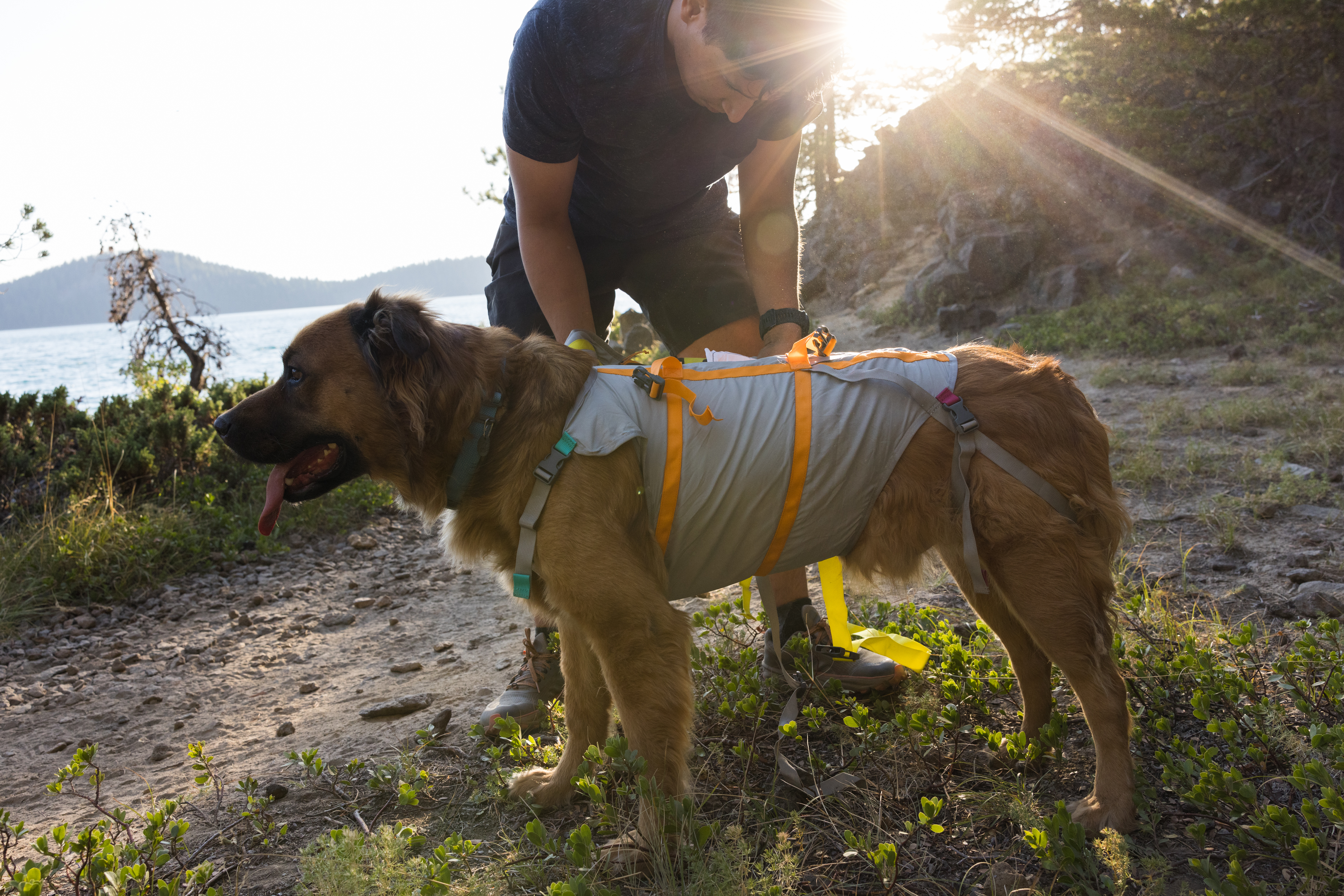 Ruffwear BackTrak™ Dog Evacuation Kit Cloudburst Gray Ruffwear BackTrak™ Dog Evacuation Kit Cloudburst Gray