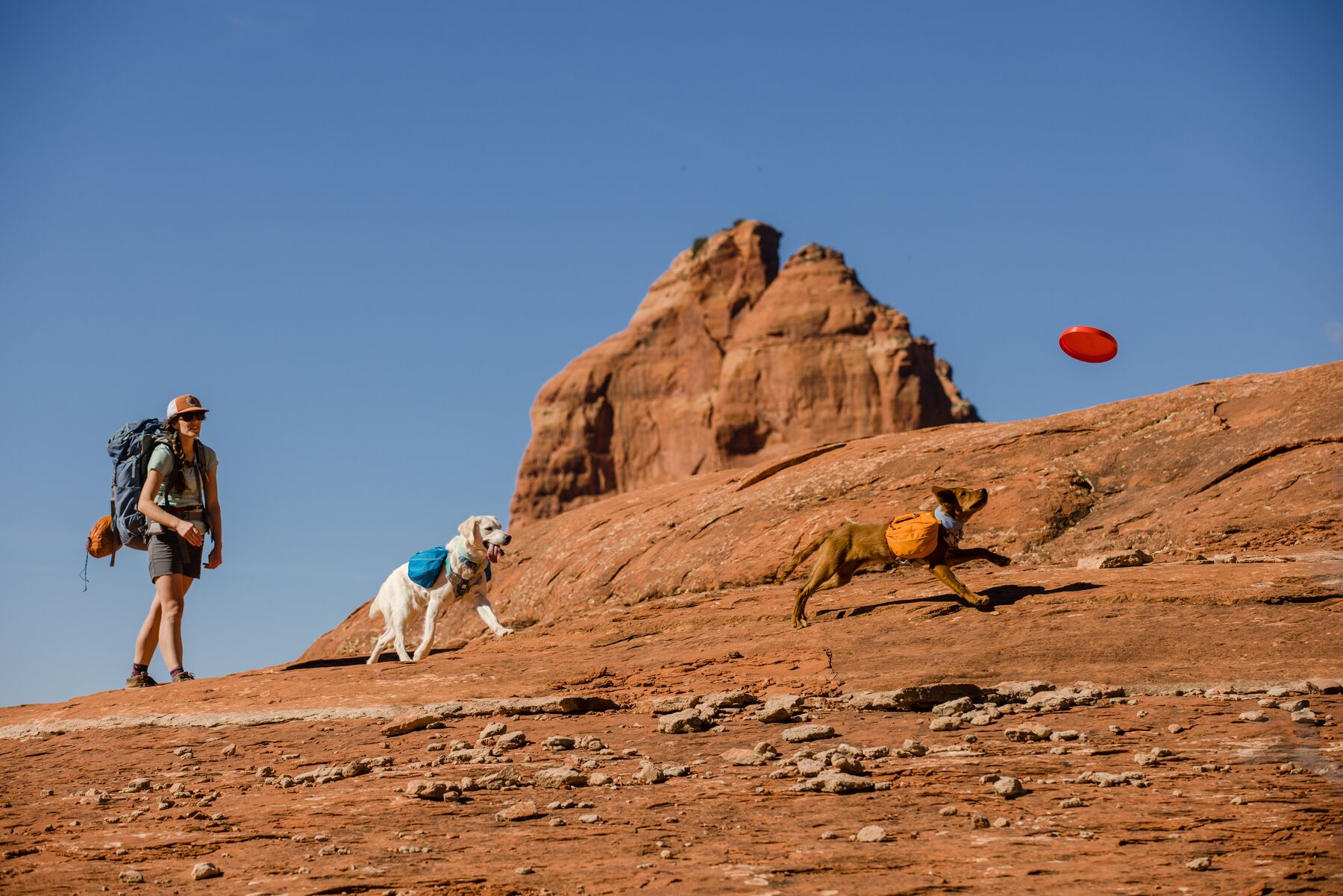 RuffWear Approach™ Pack Campfire Orange