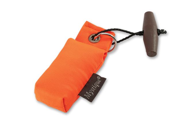 Mystique Mini Dummy Key case