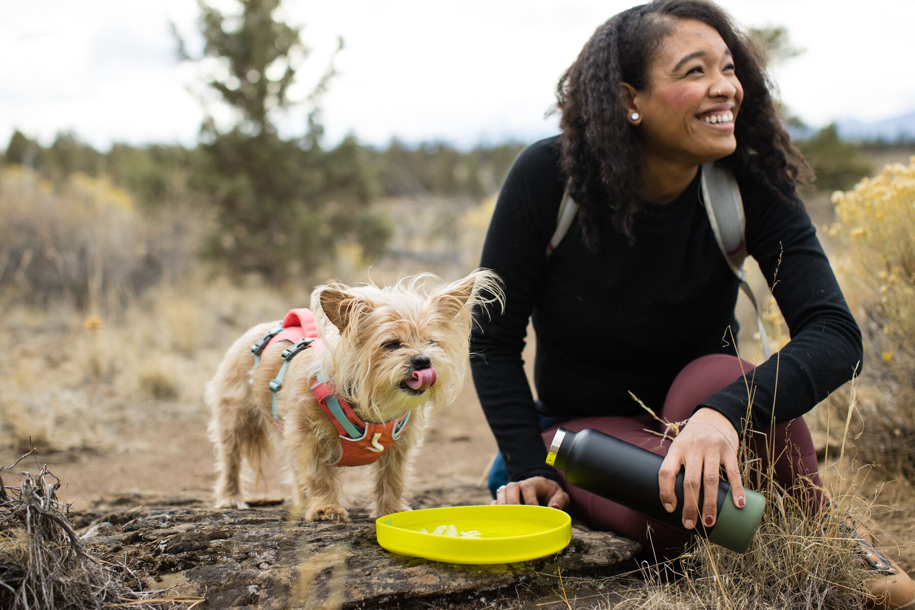 RuffWear Camp Flyer™ Toy Lichen Green RuffWear Camp Flyer™ Toy Lichen Green