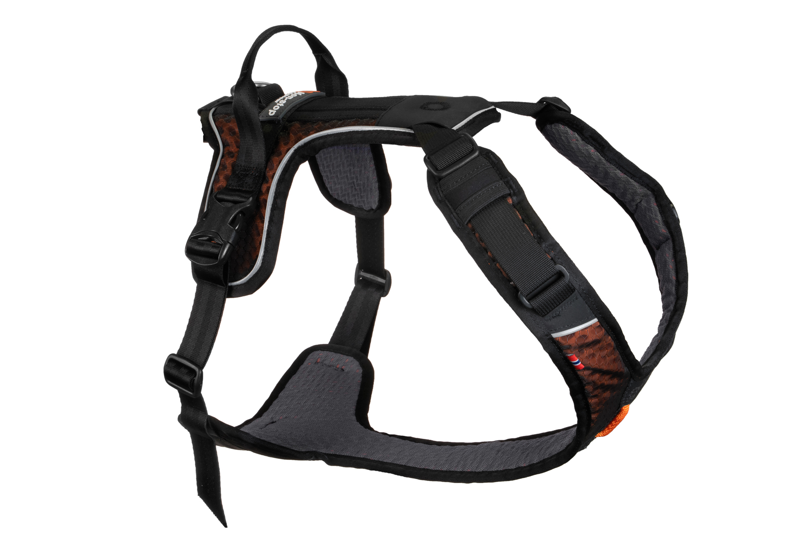 halsband große hunde Canestaff® Individuelles Halsband main image 1