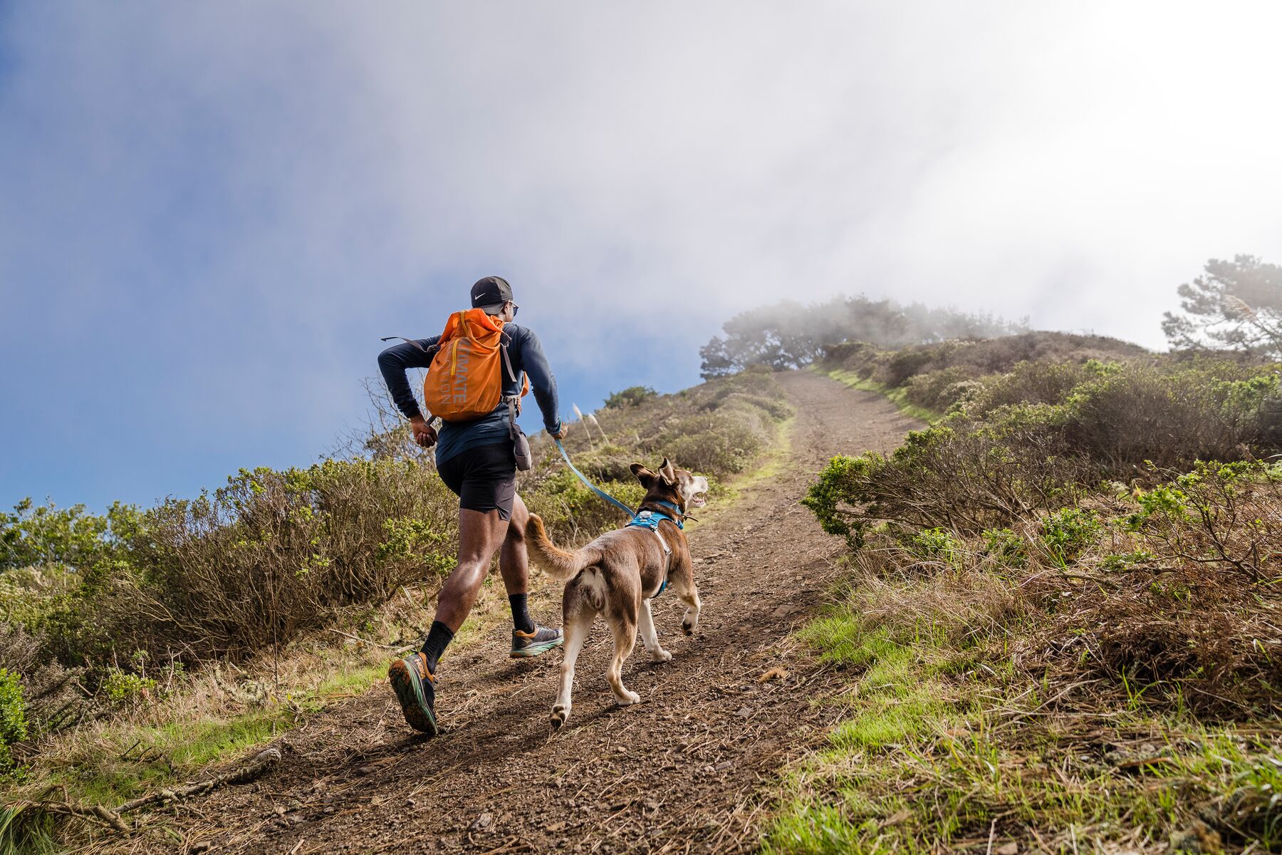 RuffWear Hi & Light™ Leash Blue Dusk