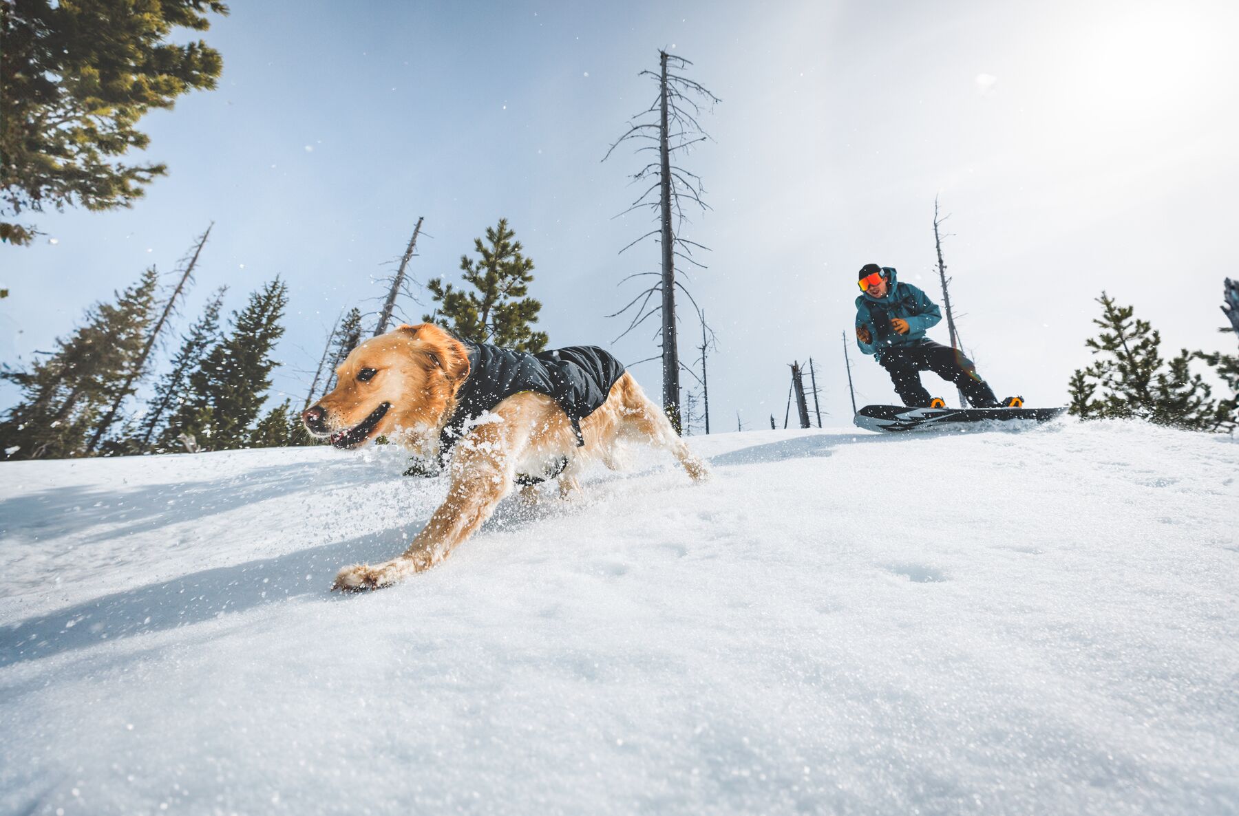 Ruffwear Quinzee™ Insulated Jacket Obsidian Black