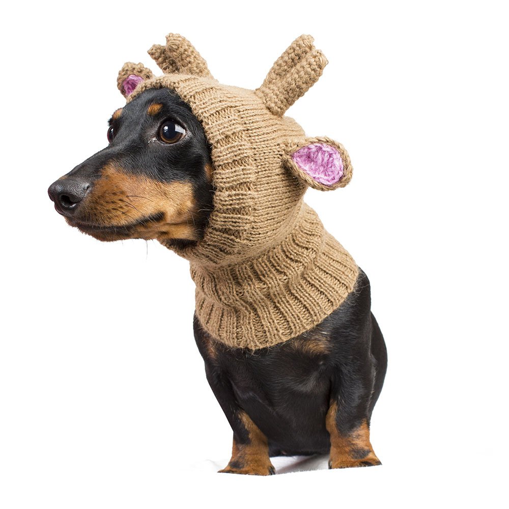 Alqo Wasi Reindeer Hat