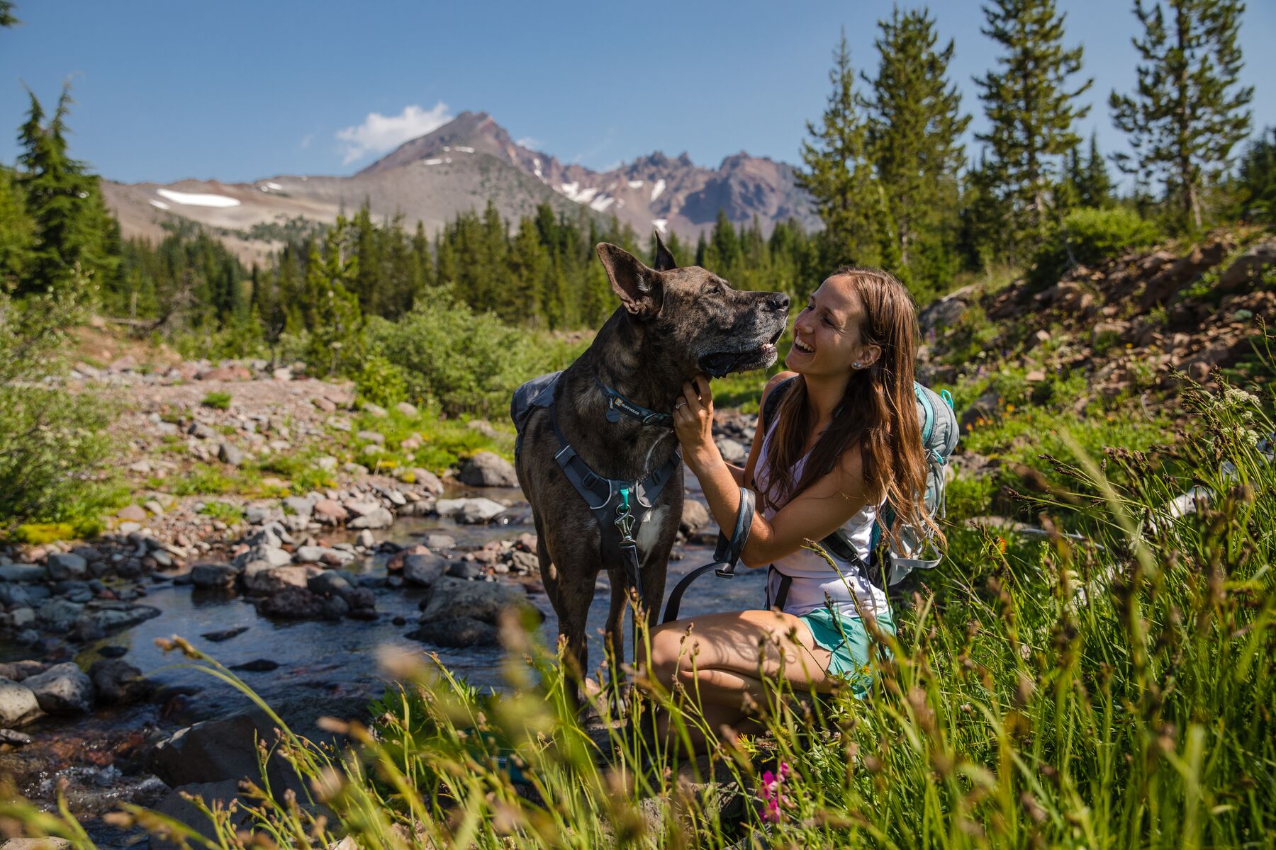 RuffWear Switchbak™ Harness Granite Grey