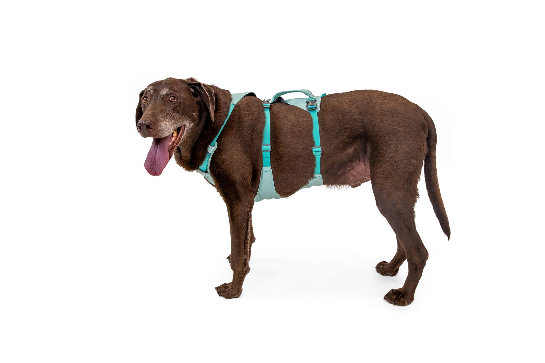 RuffWear Flagline™ Harness Sage Green