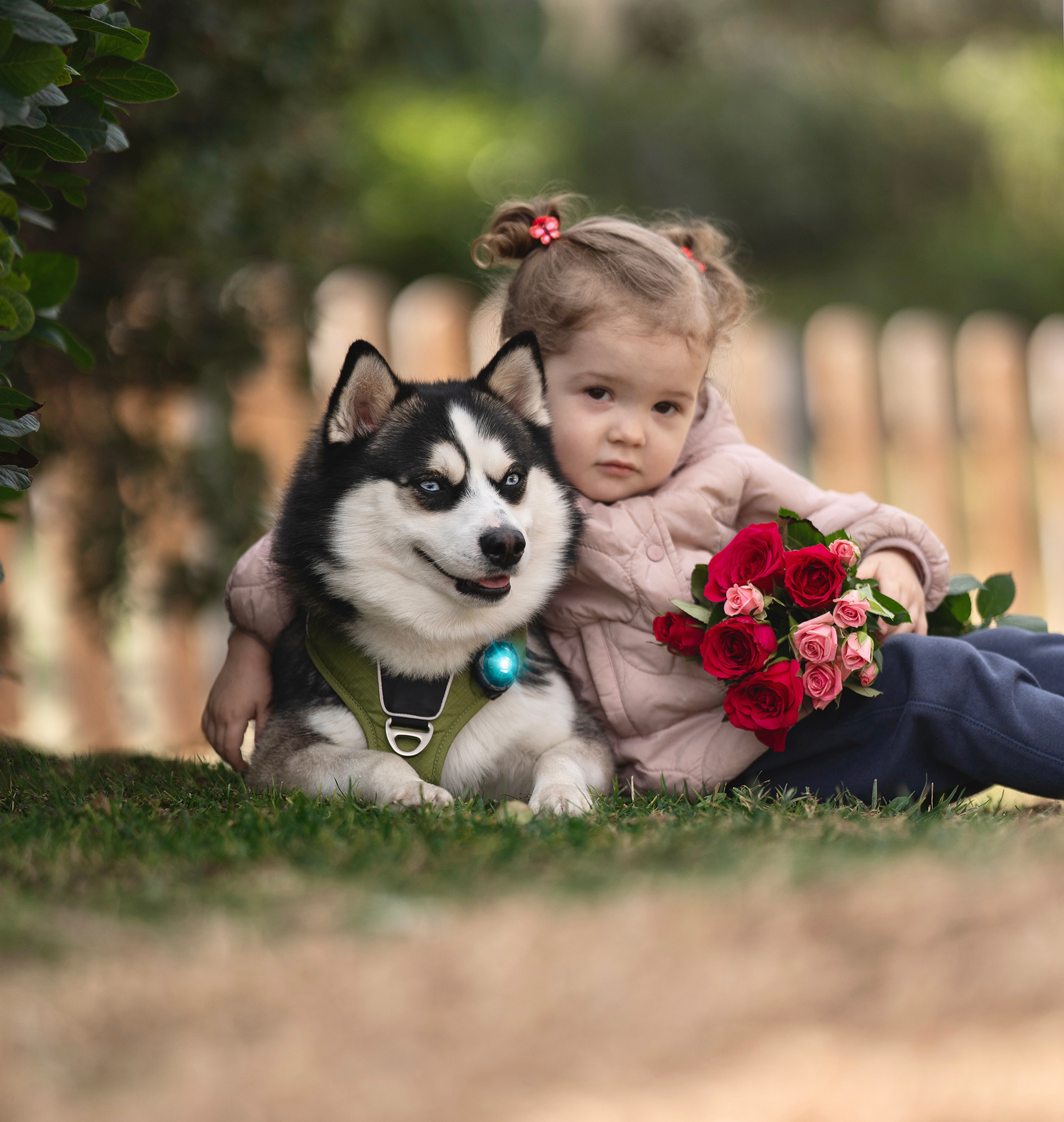 Orbiloc Dog Dual Light turquoise