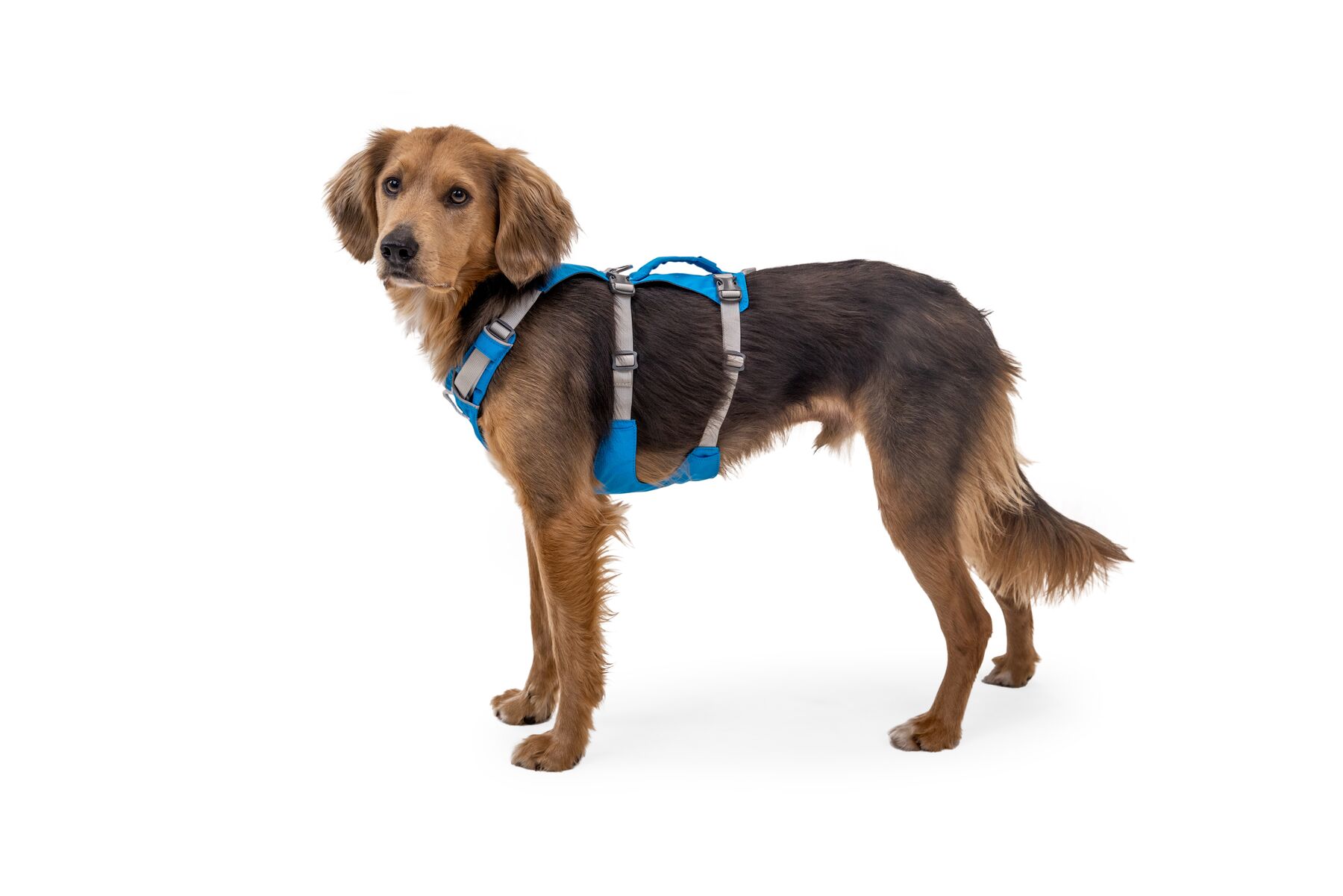 RuffWear Flagline™ Harness Blue Dusk