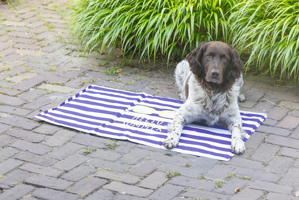Beeztees Kühlmatte Hello Summer blau/weiß 100x60cm