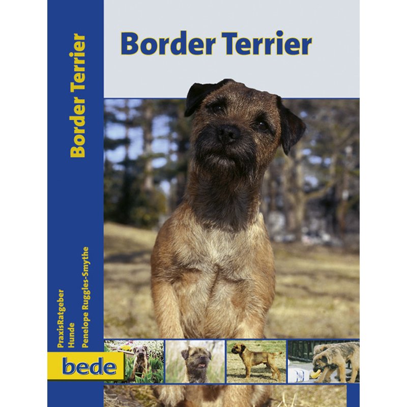 Border Terrier [Penelope Ruggles-Smythe]