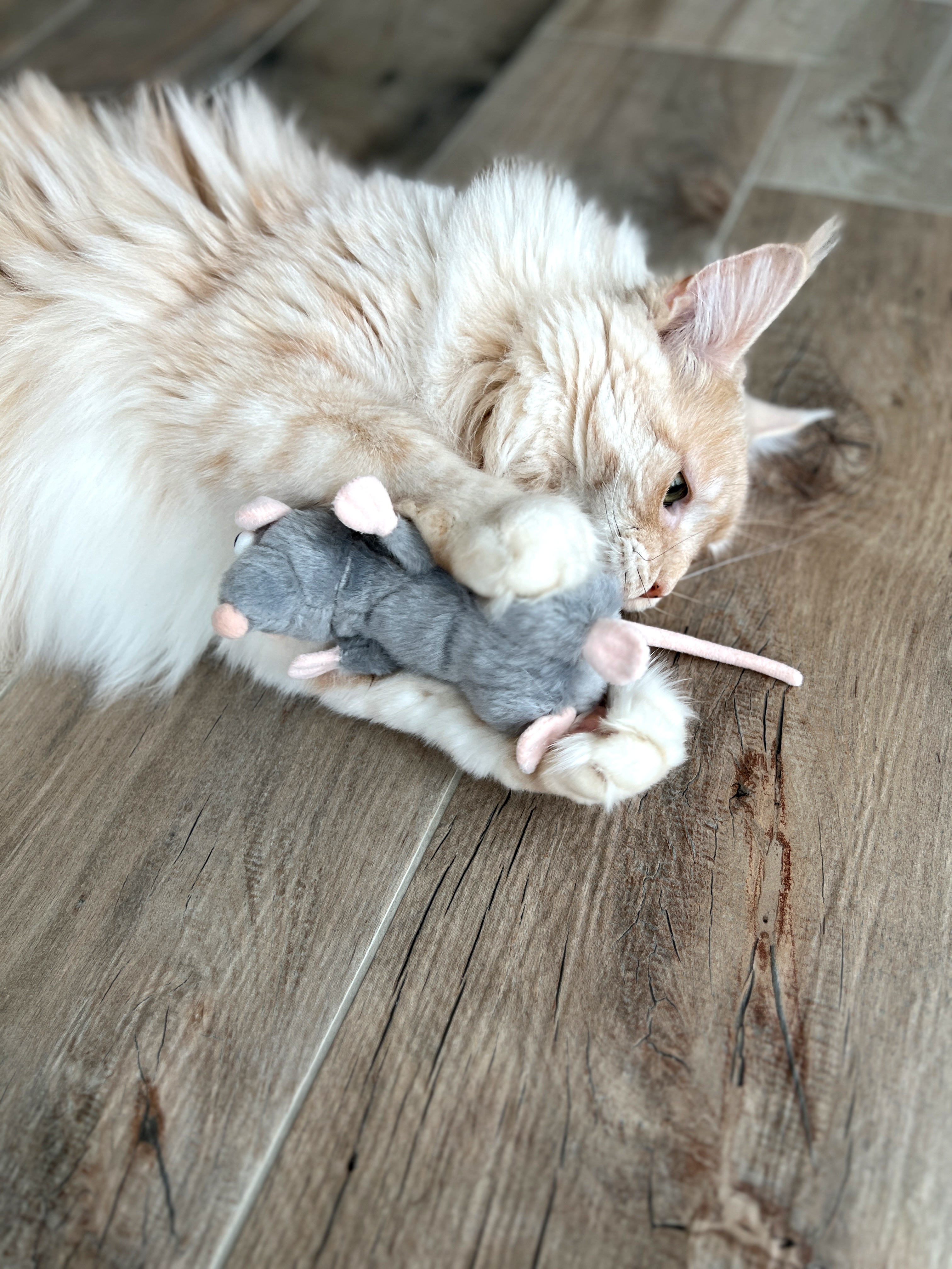 Aumüller Katzenspielzeug Ratte Cedric
