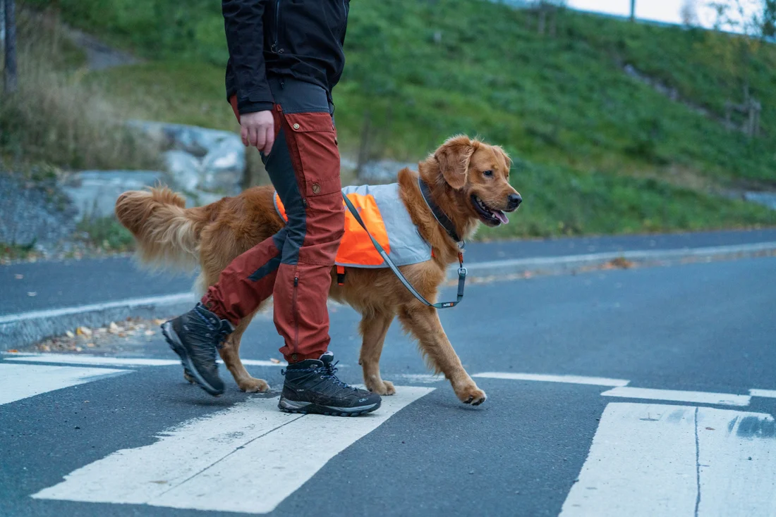Non-stop dogwear Reflective Vest