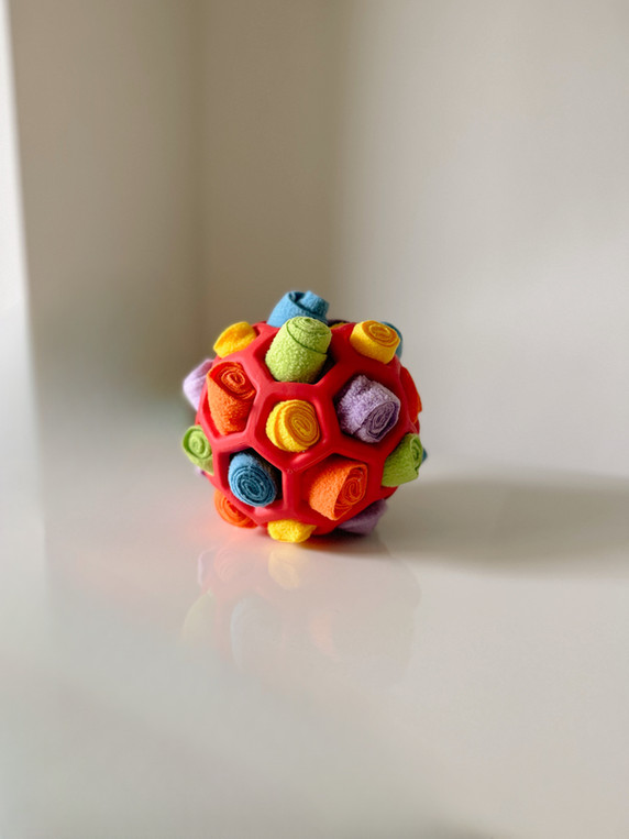 Specterpet Schnüffelball