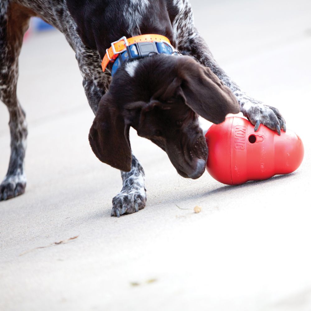 KONG Hundespielzeug Wobbler