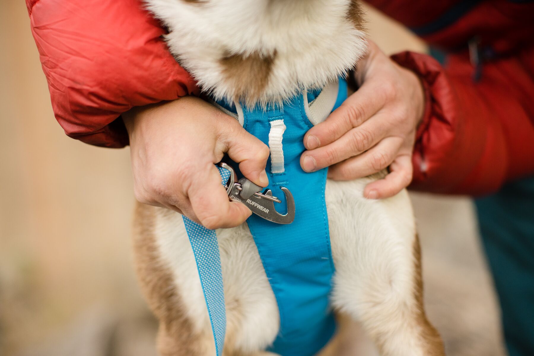 RuffWear Flagline™ Leash Blue Dusk