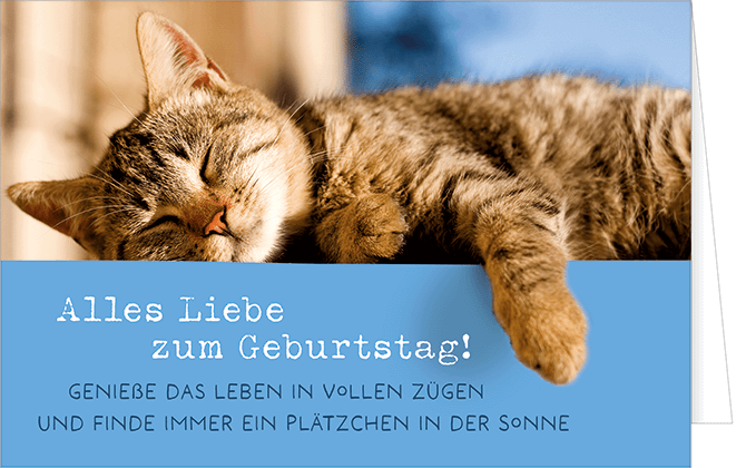 Pfotenglück Grußkarte (verschiedene Motive) Pfotenglück Grußkarte (verschiedene Motive)