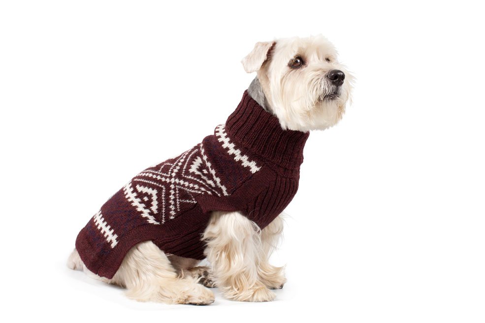 Alqo Wasi Hunde-Pullover Burgundy Glam