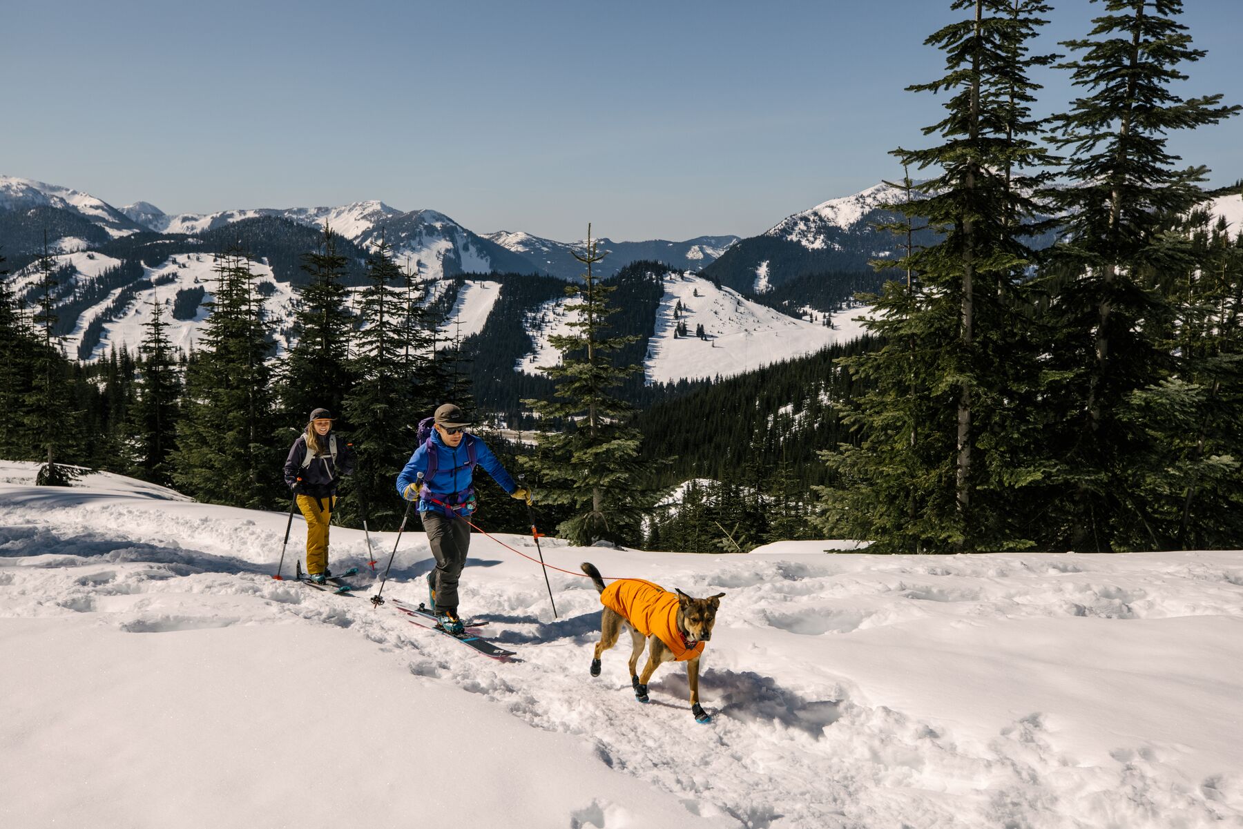 RuffWear Hitch Hiker™ Leash