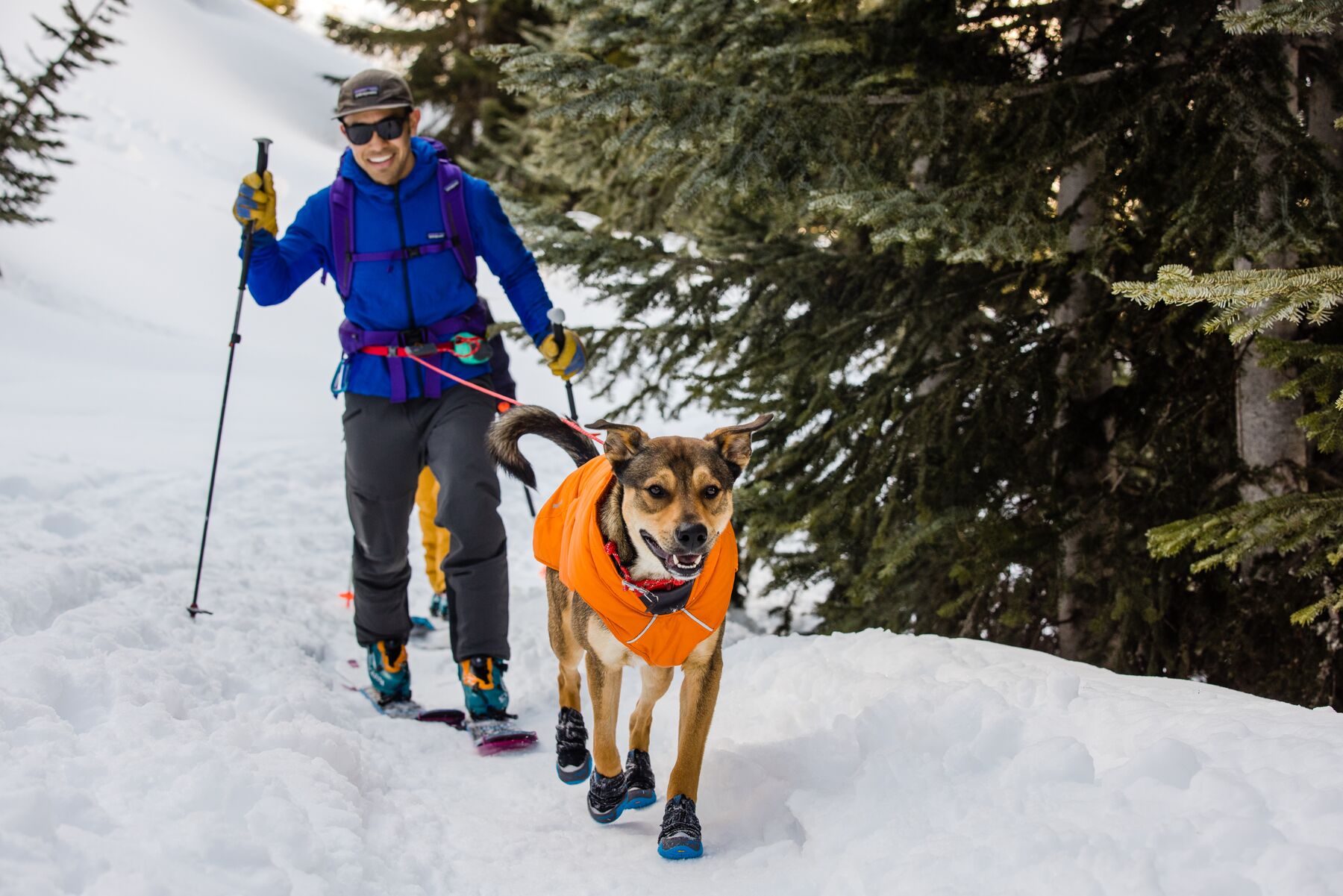 RuffWear Hitch Hiker™ Leash