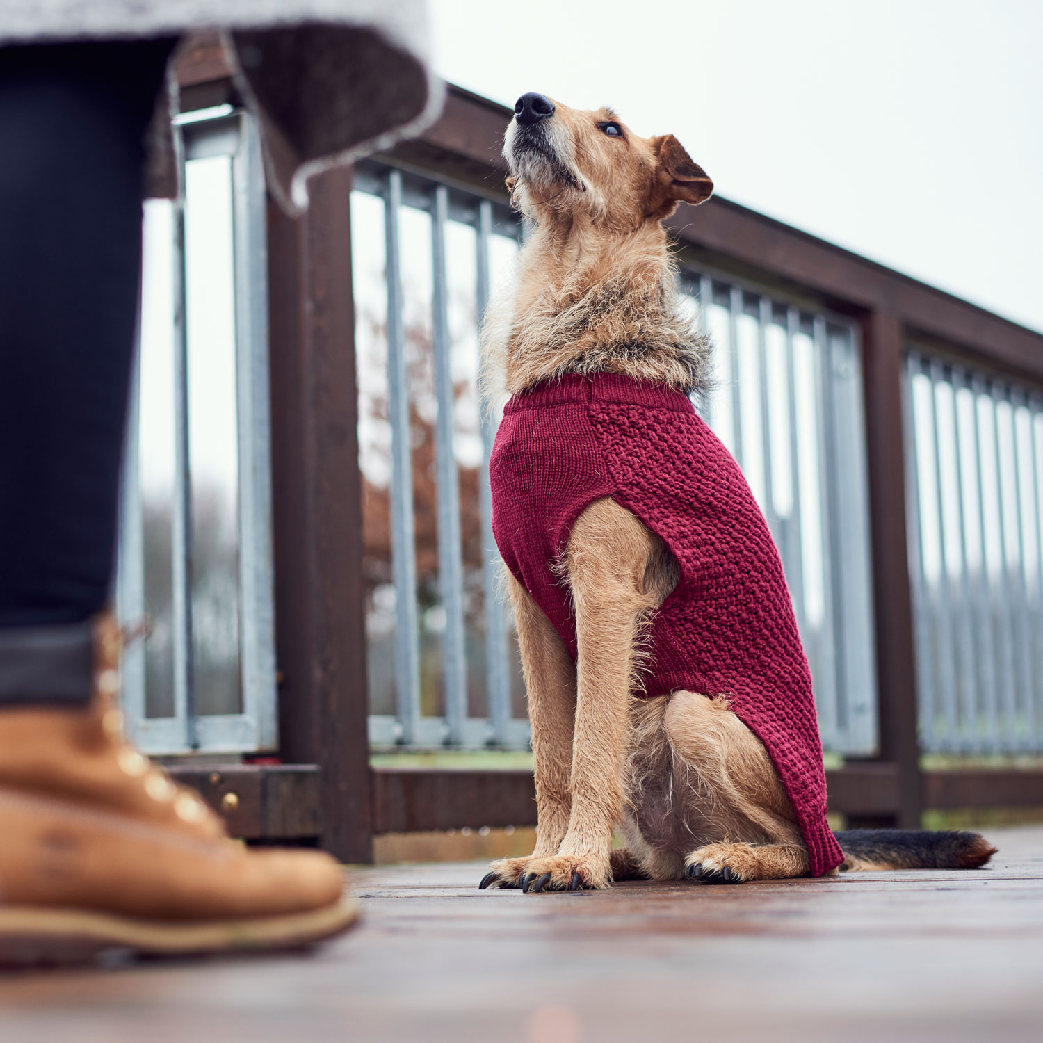 Hunter Hundepullover Malmö