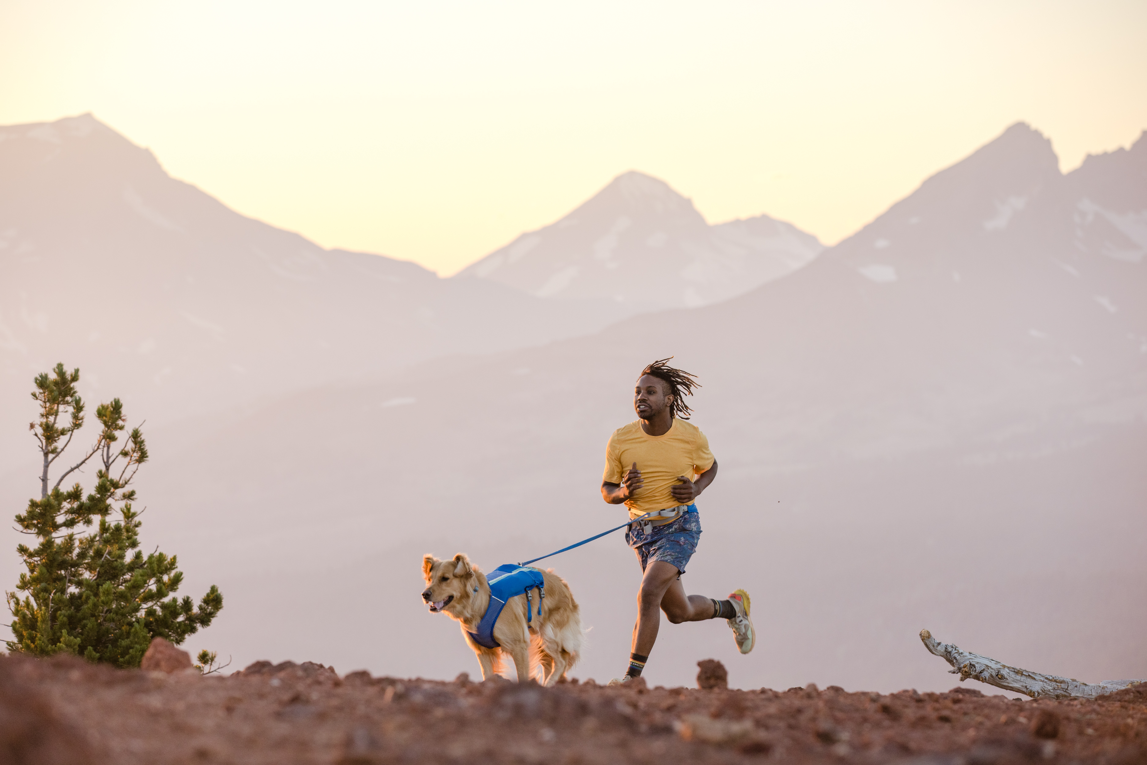 Ruffwear Trail Runner™ Belt Blue Pool