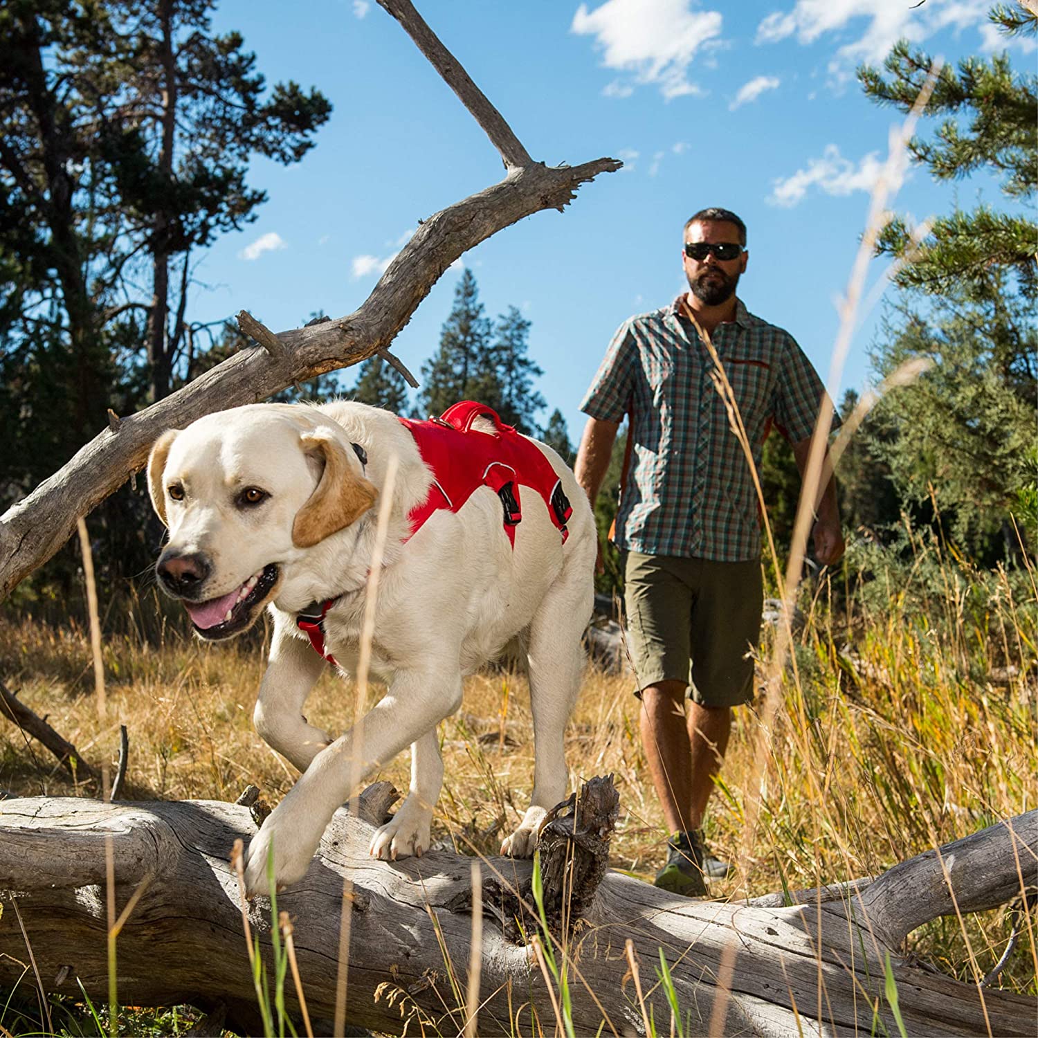 Ruffwear Web Master Harness Red Currant