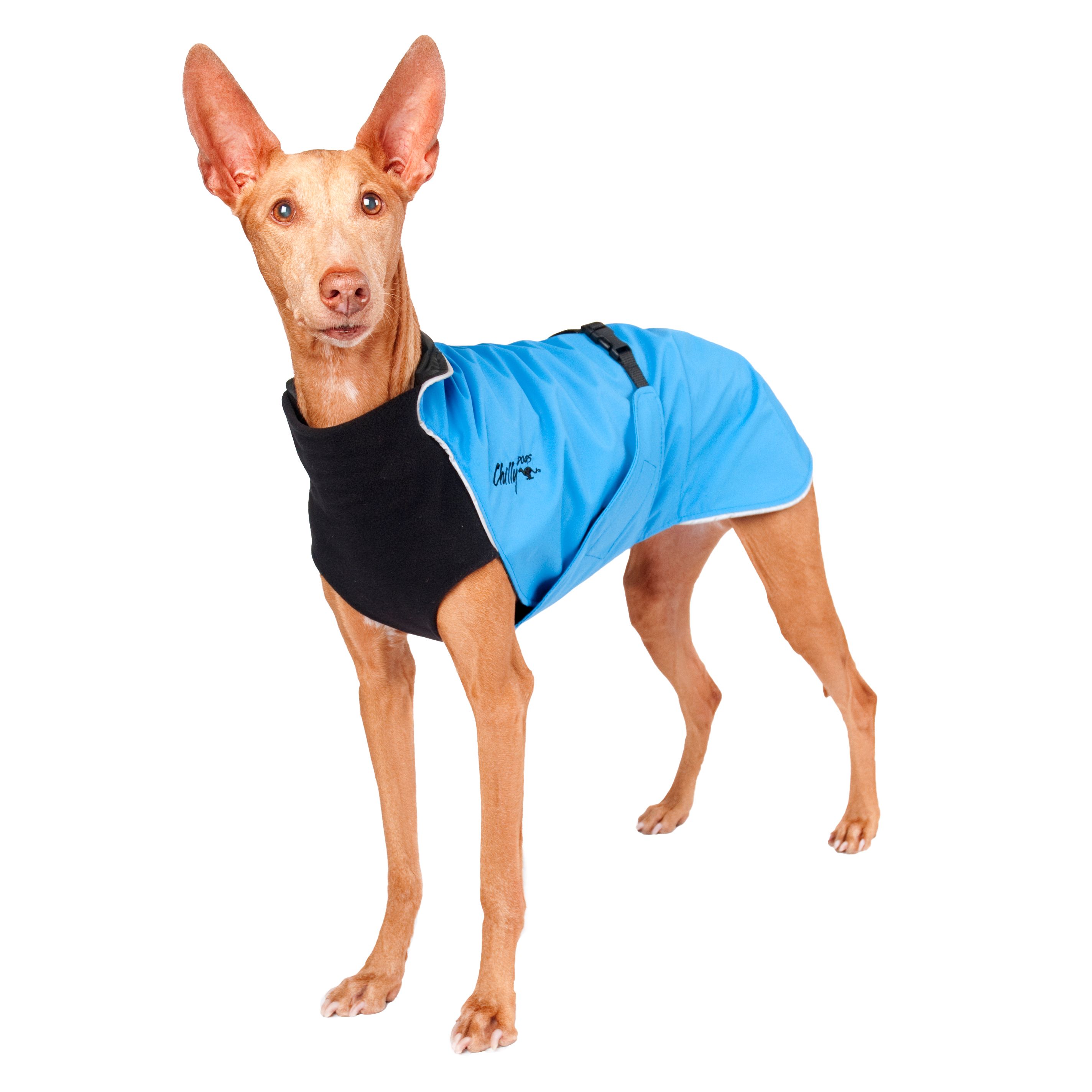 Chilly Dogs Harbour Slicker STANDARD