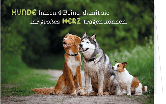 Pfotenglück Grußkarte (verschiedene Motive) Pfotenglück Grußkarte (verschiedene Motive)