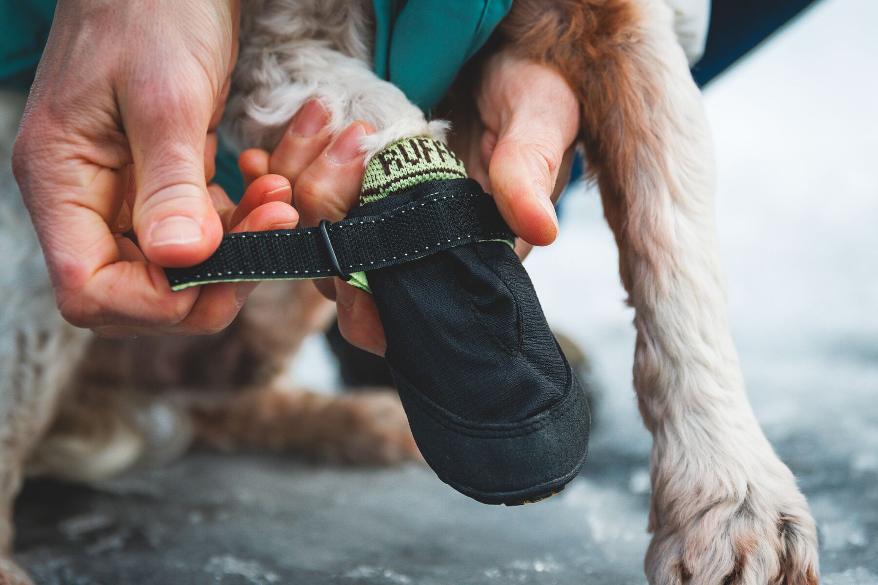 Ruffwear Summit Trex™ - box of 2 - Obsidian Black