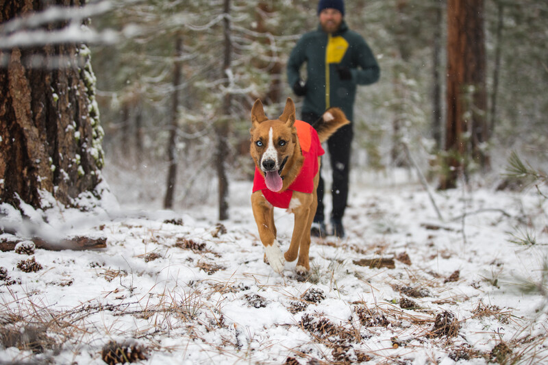 Ruffwear Vert Jacket Ruffwear Vert Jacket