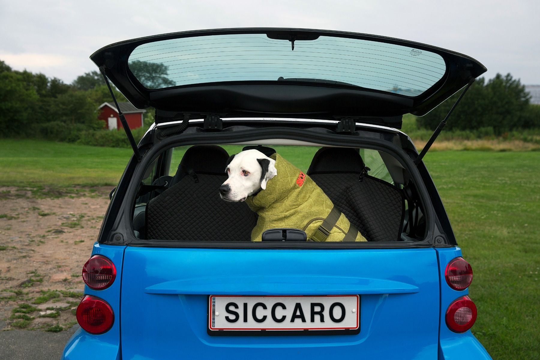 SICCARO Hundemantel WetDog SupremePro Bamboo