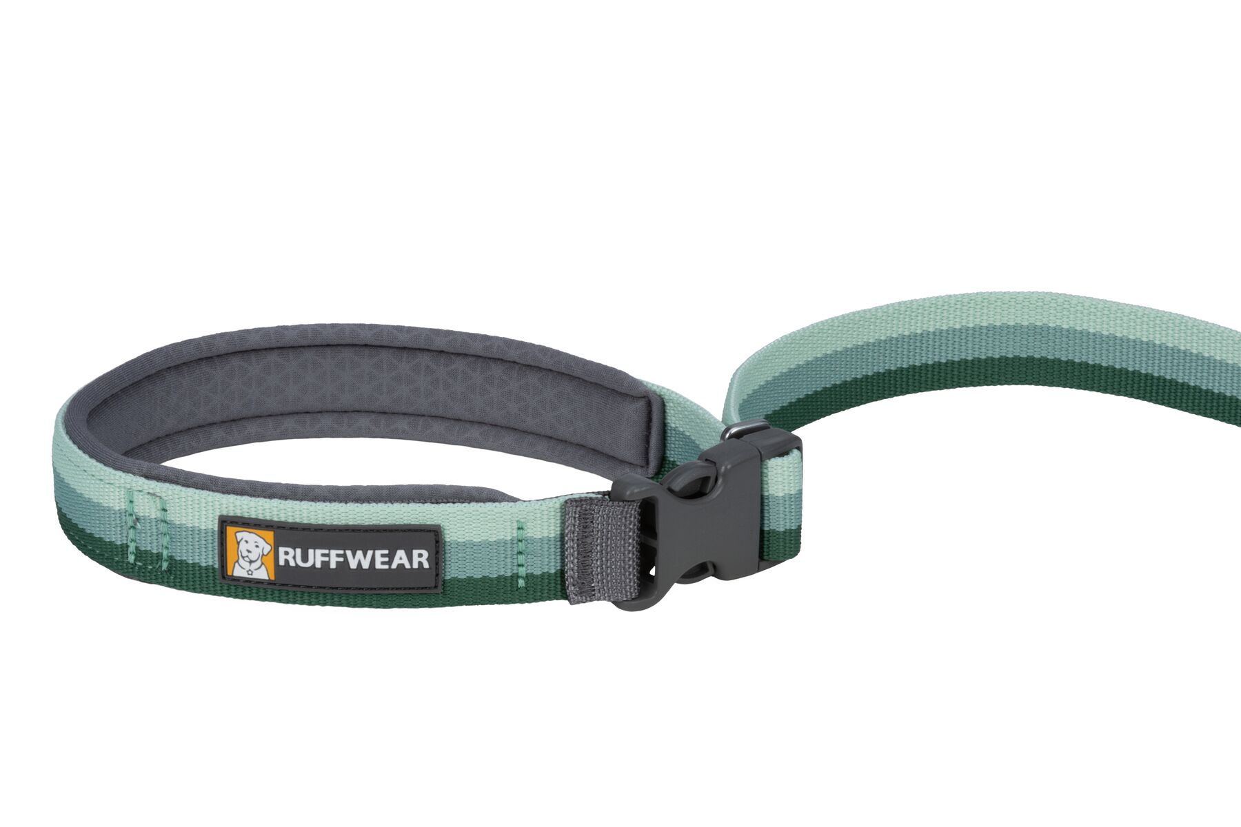 RuffWear Roamer™ Leash River Rock Green