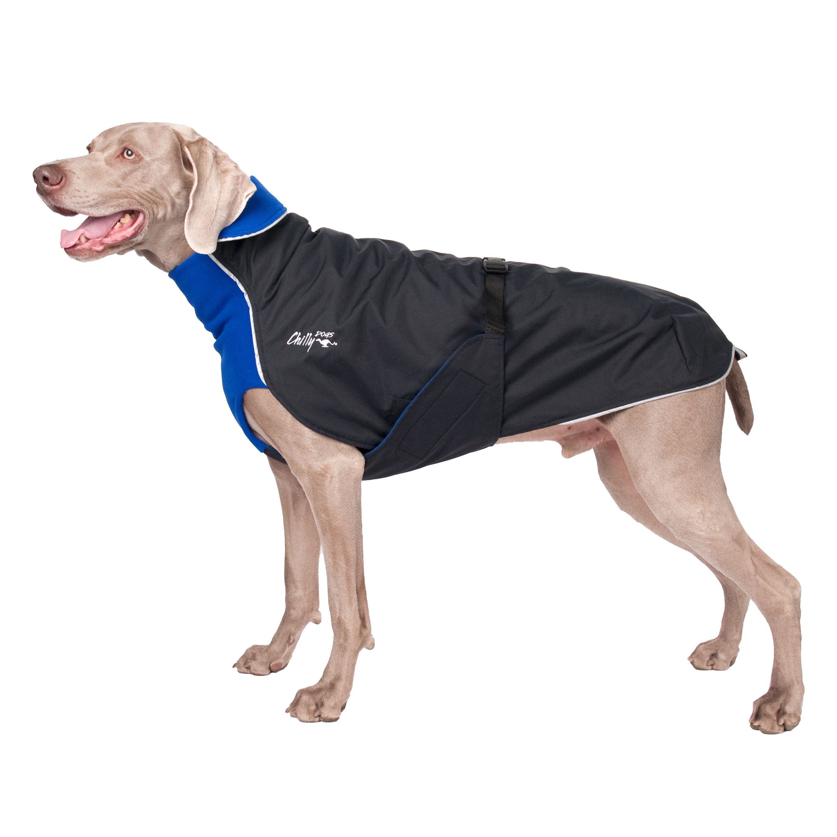 Chilly Dogs Alpine Blazer STANDARD