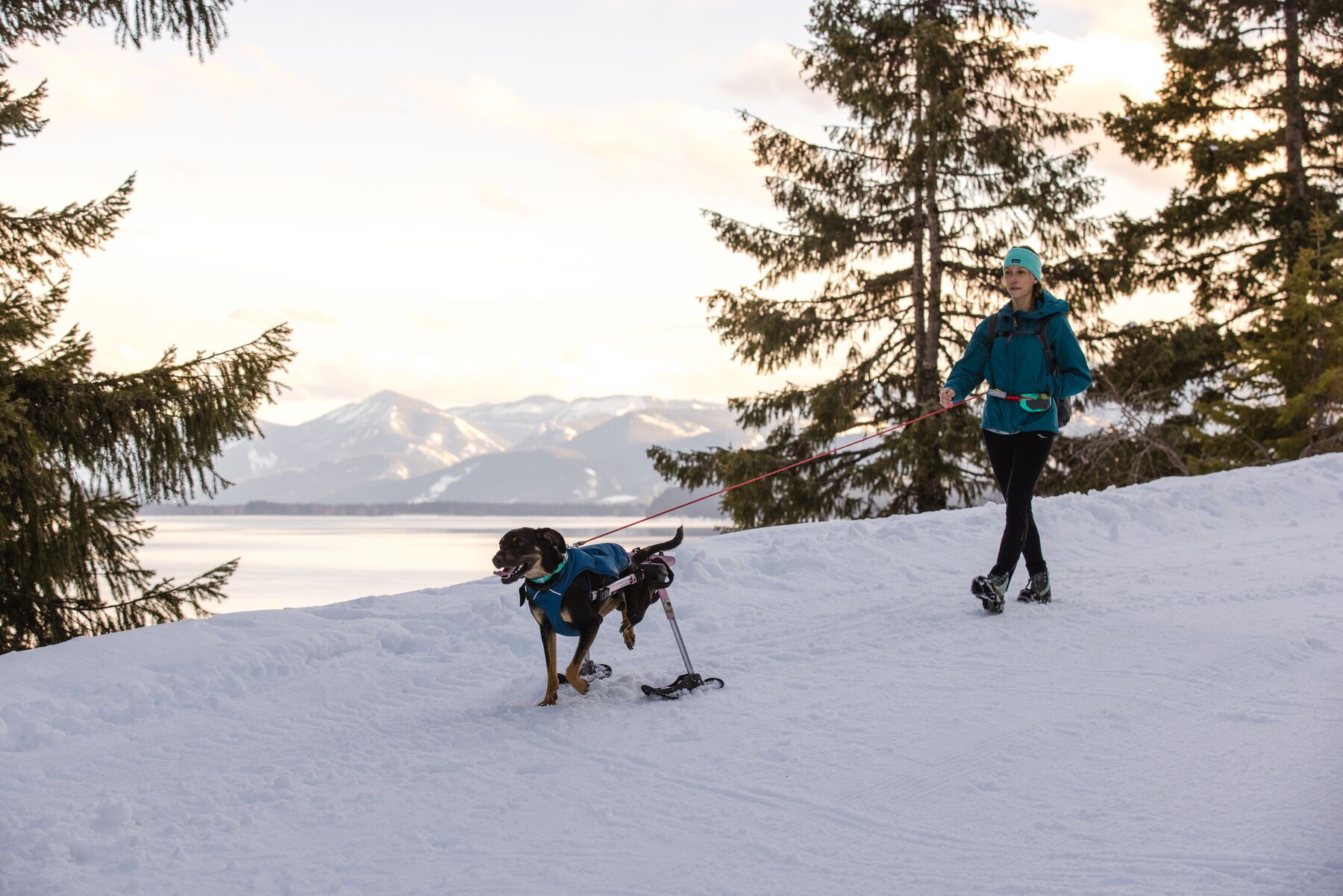 RuffWear Hitch Hiker™ Leash RuffWear Hitch Hiker™ Leash