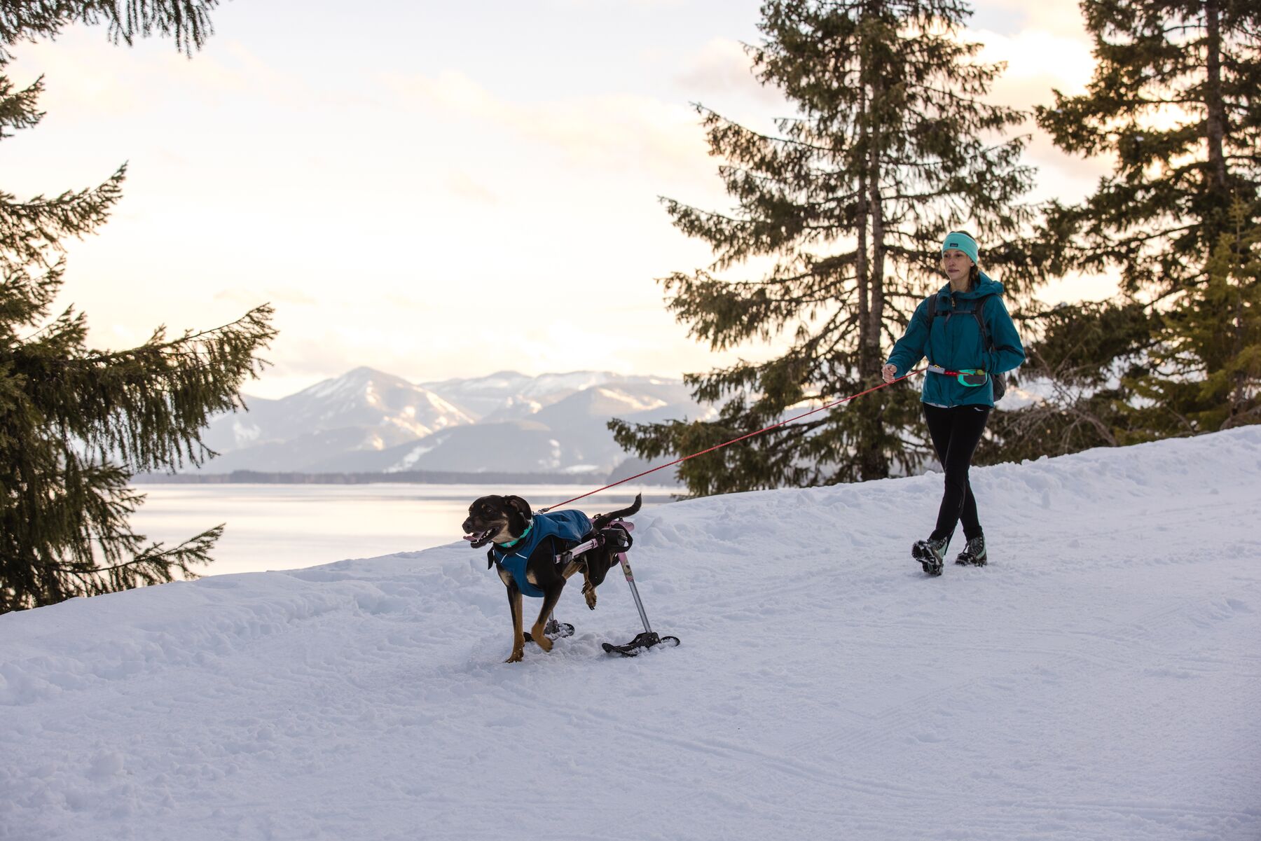 RuffWear Hitch Hiker™ Leash