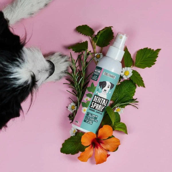Tierliebhaber Dentalspray für Hunde mit Minze 50ml