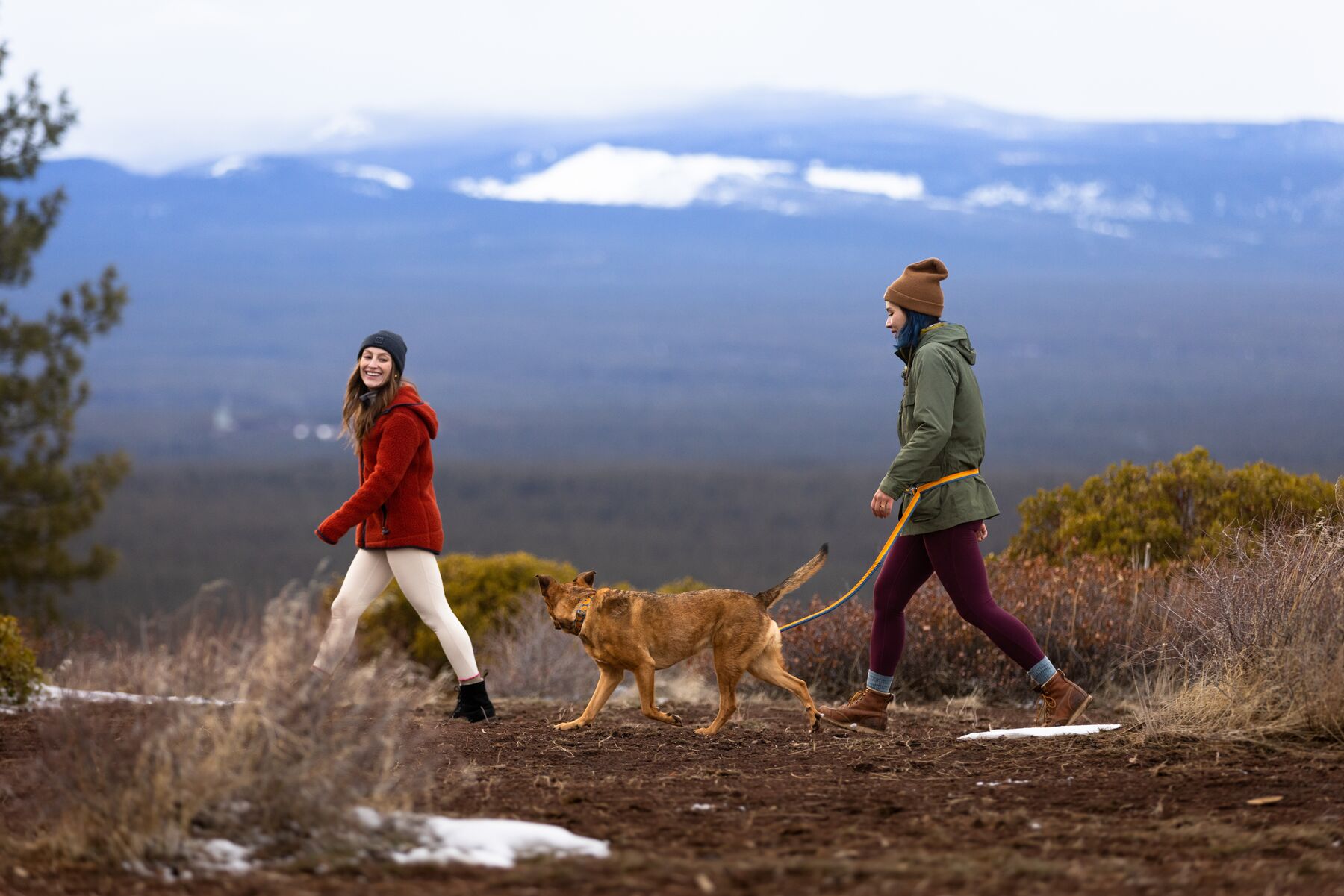 RuffWear Roamer™ Leash Yellow Snow