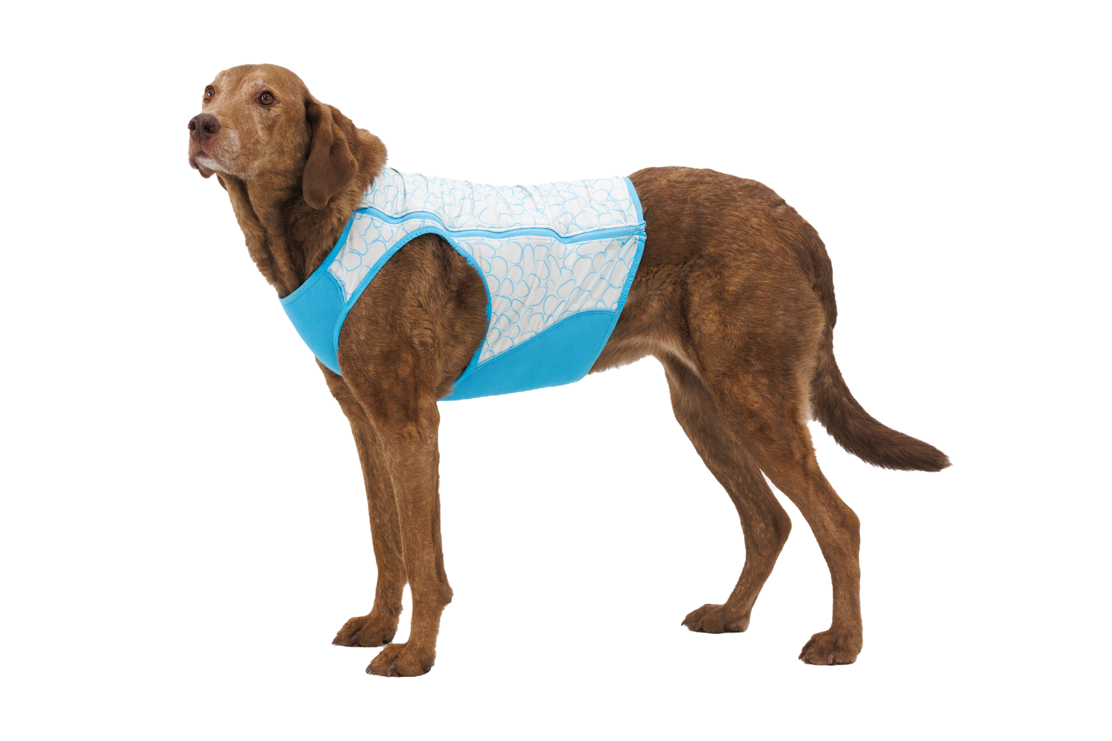 Ruffwear Swamp Cooler Zip™ Vest Biolumin Blue