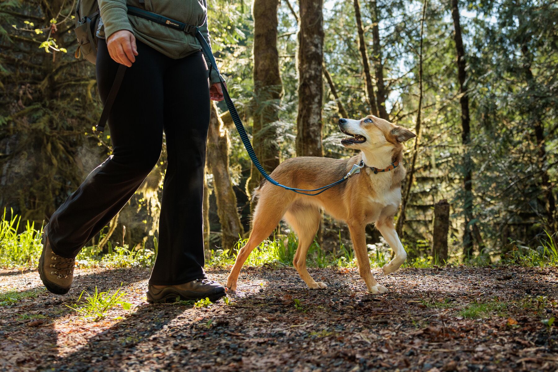 RuffWear Roamer™ Leash Orion Blue