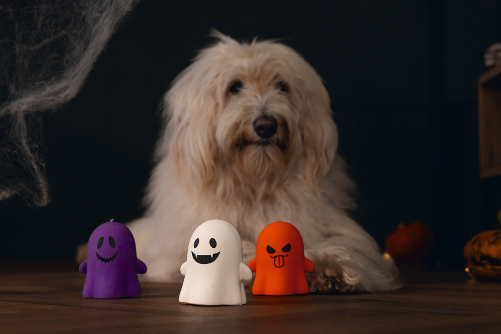 Beeztees Hundespielzeug Halloween Geister Boe 10cm