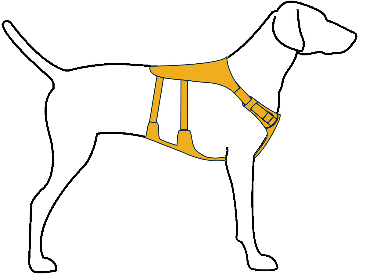 Ruffwear Flagline Harness Granite Gray